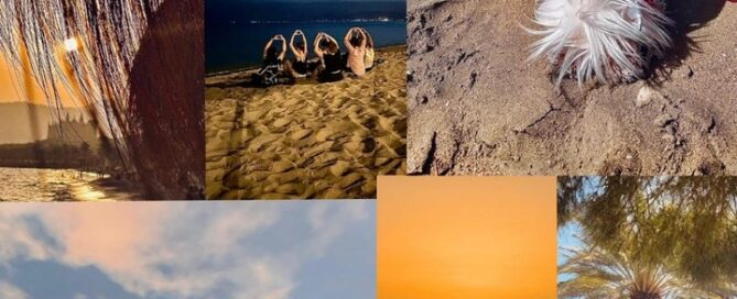 Collage aus Bildern des Mallorca-Trips des Praxis-Teams.